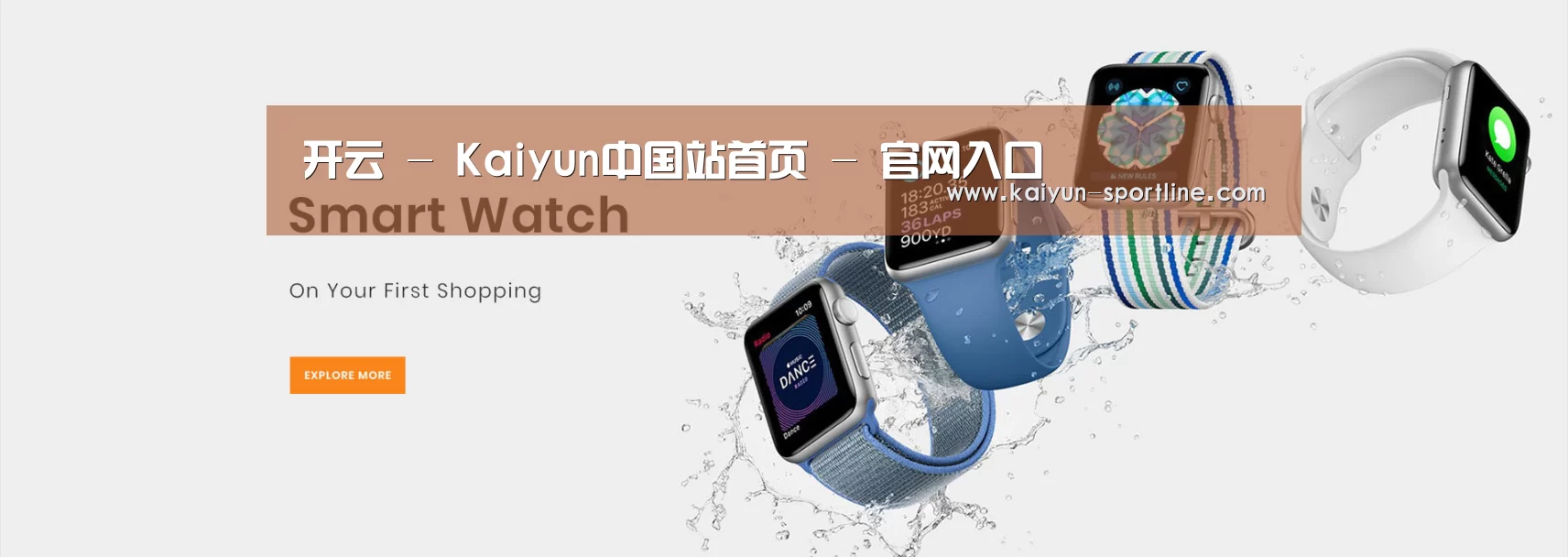 某某网络科技有限公司