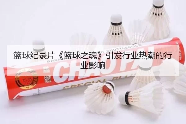 篮球纪录片《篮球之魂》引发行业热潮的行业影响