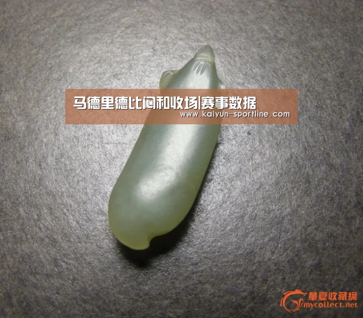 开云体育