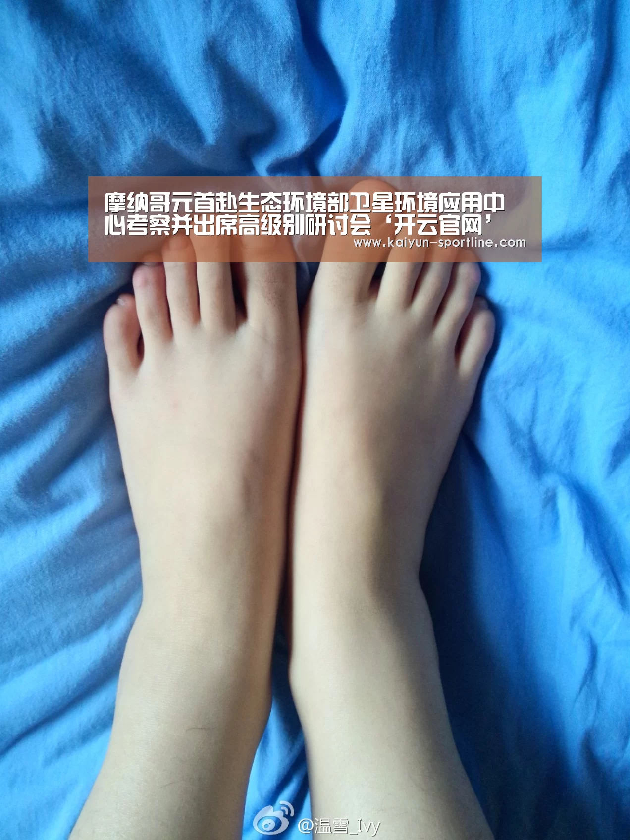 摩纳哥元首赴生态环境部卫星环境应用中心考察并出席高级别研讨会‘开云官网’