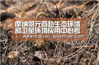 开云官网